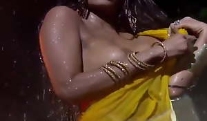 Poonam Pandey Nude Rain Dance
